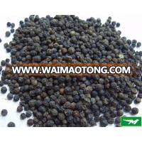 Black pepper- best price in Vietnam