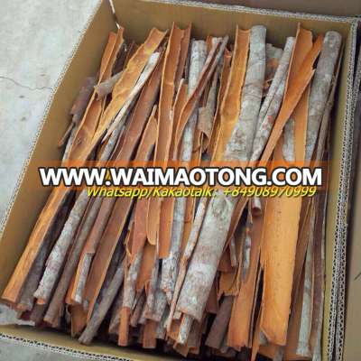 High Quality Split Cinnamon/ Cassia _Skype: saledongduong36