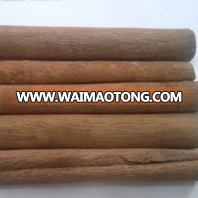 Hot price Cigarette Cinnamon/ Finger Cinnamon_skype: saledongduong36